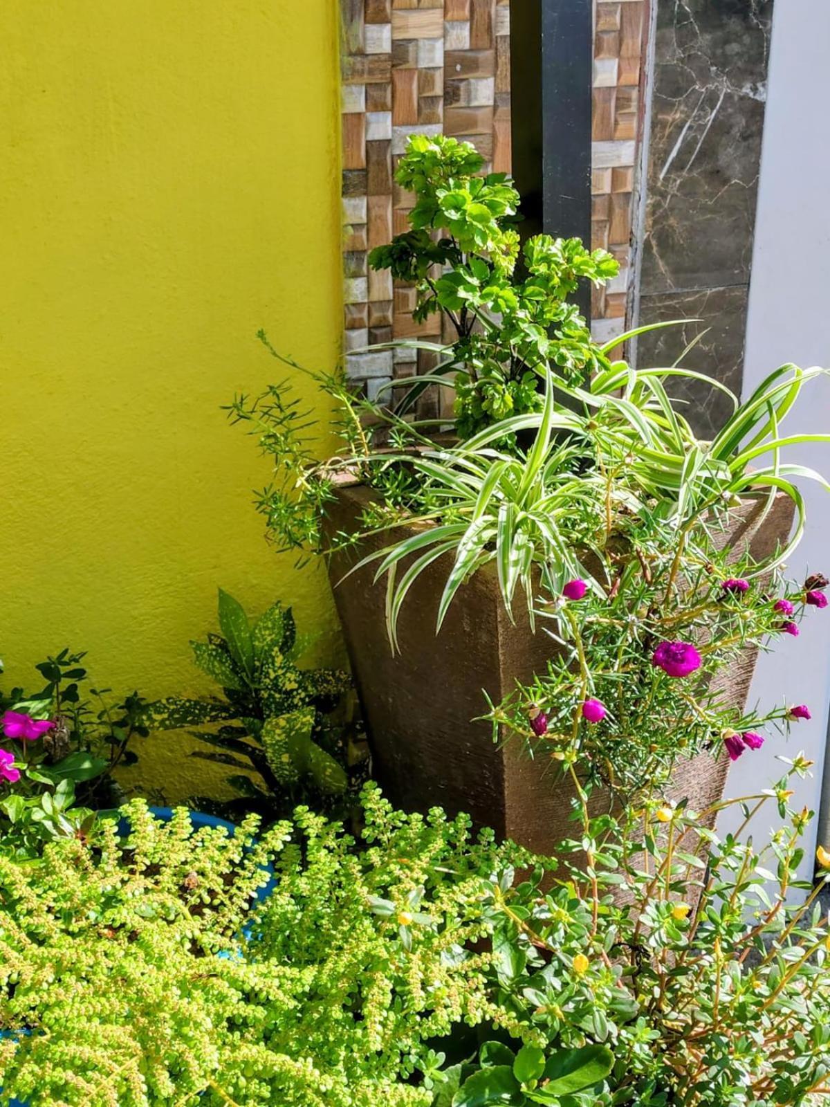 Hospedagem Encantos Da Serra Itatiaia  Exterior foto